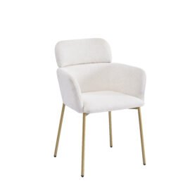 Europe Hot Selling Dining Chair