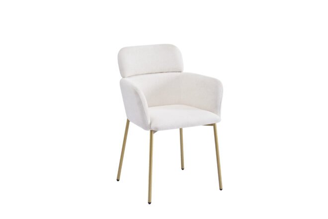 Europe Hot Selling Dining Chair